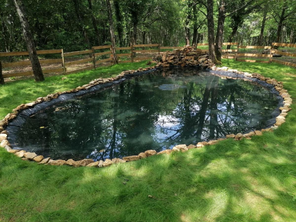 Saint-Aubin-de-Nabirat 7-Gite-7 Personnes Au Coeur De La Nature /Piscine מראה חיצוני תמונה