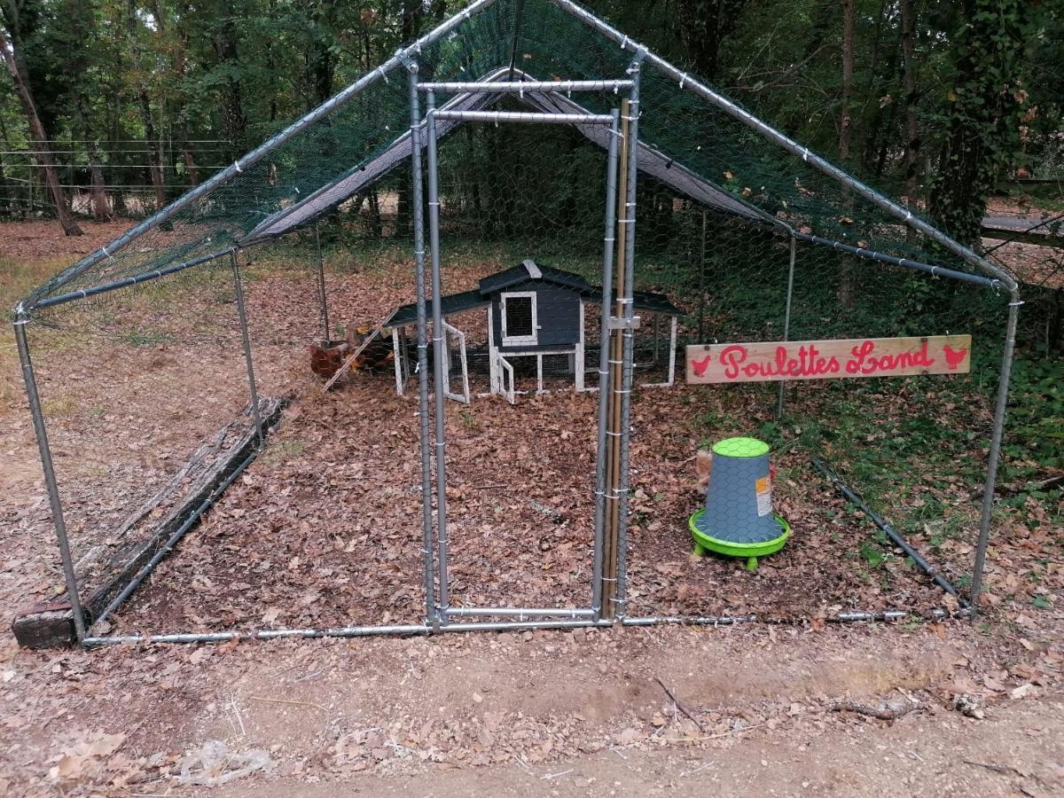 Saint-Aubin-de-Nabirat 7-Gite-7 Personnes Au Coeur De La Nature /Piscine מראה חיצוני תמונה