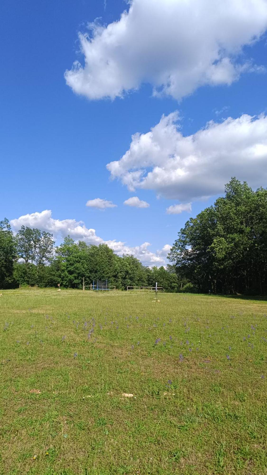 Saint-Aubin-de-Nabirat 7-Gite-7 Personnes Au Coeur De La Nature /Piscine מראה חיצוני תמונה
